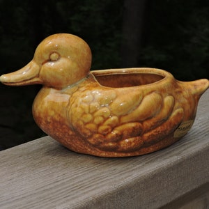 May include: A brown ceramic duck planter with a textured surface. The planter has a small opening on the top for planting. The duck planter is sitting on a wooden surface.