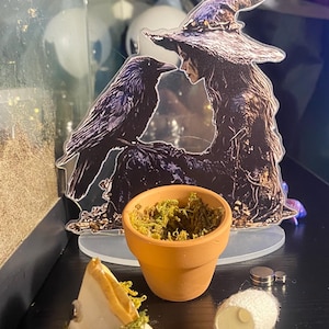 May include: A decorative scene featuring a witch with a raven, a small terracotta pot filled with moss, and a miniature tent-like structure with moss accents. Additional items include a white cocoon and small silver magnets.