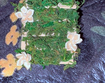 Jumping Spider Mossy Stairs