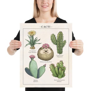 Kaktus Igel Pflanze Poster Print Wissenschaftliche Botanik Kunst | Vintage Wand dekor | Igel Liebhaber Geschenk | Schlafzimmer Büro Wandkunst