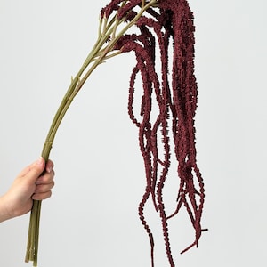 Burgundy Hanging Amaranthus Stems, Faux Trailing Greenery for Wedding Arch Decor (No Leaves)
