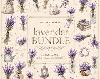 Vintage Lavender Clipart Bundle, Pencil Sketch Botanical PNGs (Digital Download)