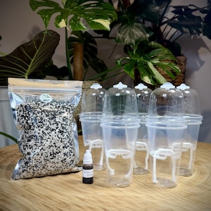 May include: A clear plastic bag filled with a black and white granular substrate, five clear plastic cups with matching dome lids and white wicks, and a small brown dropper bottle labeled Povidone Iodine Solution for plant propagation.