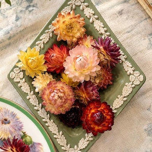 Pode incluir: Um prato de cerâmica verde-sálvia em forma de diamante com uma borda branca em relevo de flores e folhas, preenchido com uma coleção de flores secas em tons de amarelo, laranja, rosa, vermelho e roxo, ao lado de um prato com padrão floral.