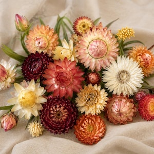 Fleurs de paille séchées en vrac | Fleurs en vrac pour résine, loisirs créatifs et pot-pourri | Fleurs séchées roses, jaunes et blanches