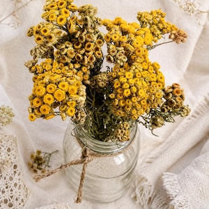 May include: A clear glass jar tied with a thin brown twine bow, filled with a dense bouquet of dried yellow tansy flowers. The small, round, golden-yellow blossoms are clustered together on thin, textured green stems, creating a vibrant display.