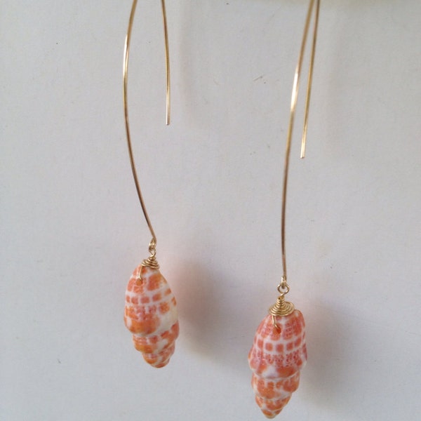 Shell marquise earrings