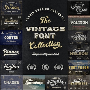 May include: A digital display sheet showcasing The Vintage Font Collection by Larin Type Co. The image features a grid of various typographic styles, including script, serif, and stencil fonts, with names like The Ramenson, Poligon, and Baren.