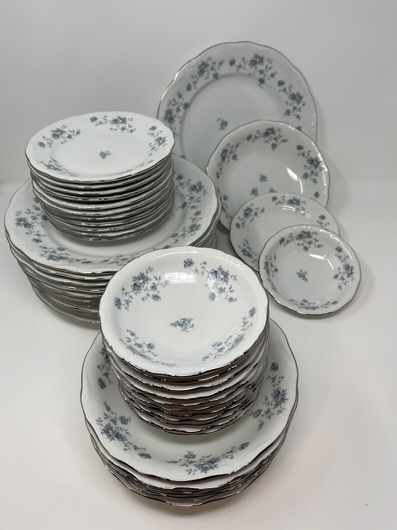 Antique Porcelain Dinnerware Set From JOHANN HAVILAND , Bavaria Germany