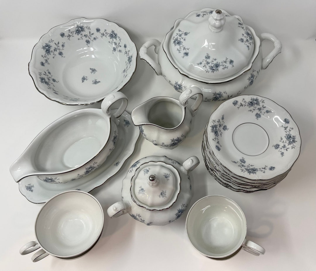 Antique Porcelain Dinnerware Set From JOHANN HAVILAND , Bavaria Germany
