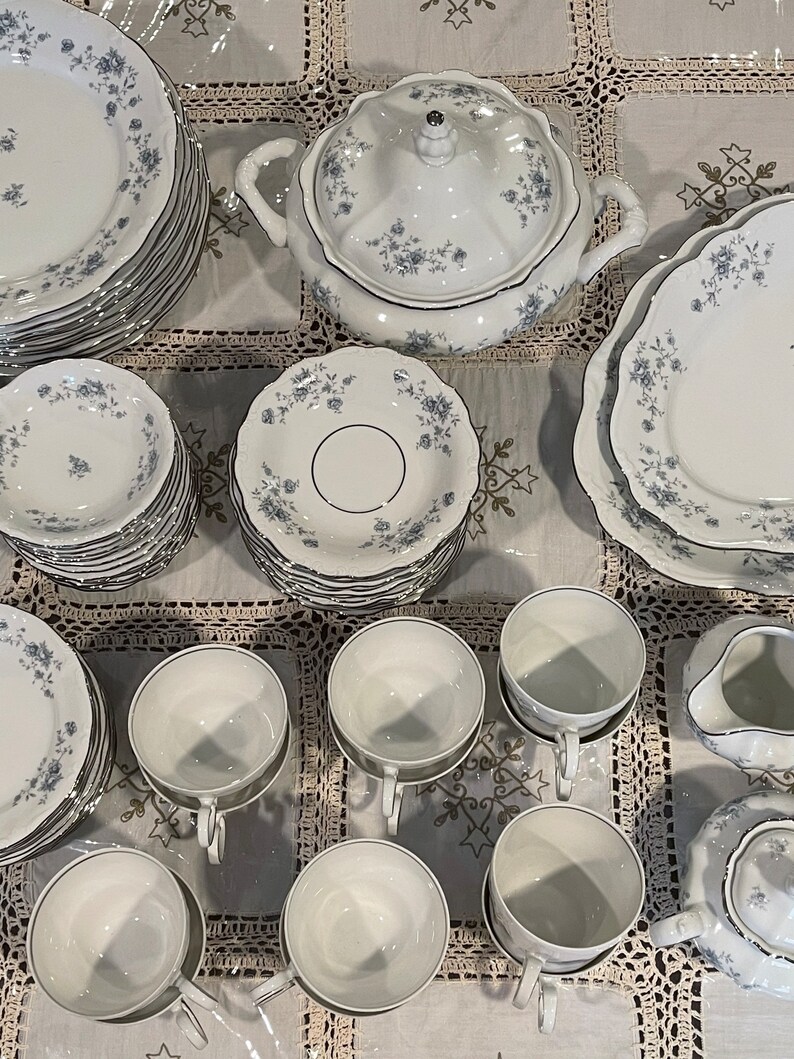 Antique Porcelain Dinnerware Set From JOHANN HAVILAND , Bavaria Germany