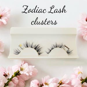 May include: Two pairs of false eyelashes in a white plastic case. The eyelashes are labeled "Capricorn" and "Aquarius".