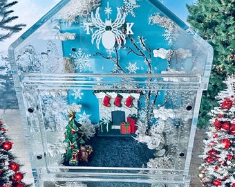 Jumping Spider Enclosure | Decorated Enclosure
