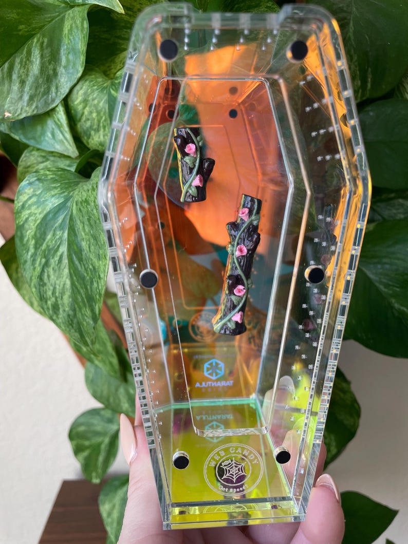 May include: A clear, coffin-shaped acrylic container with black accents and a yellow base. Inside are two miniature black tree trunk figurines adorned with pink flowers. The container has the text "WEB CANDY" and "AJUTHARAT".
