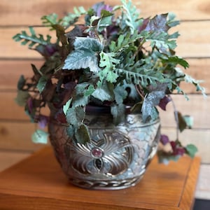 Könnte beinhalten: Eine Topfpflanze mit gezackten, grün und dunkelviolett panaschierten Blättern steht in einem runden Keramikübertopf in Metallic-Optik. Der Übertopf ist mit einem erhabenen, floralen Muster, einem zentralen runden Akzent und einem gewellten Rand versehen.