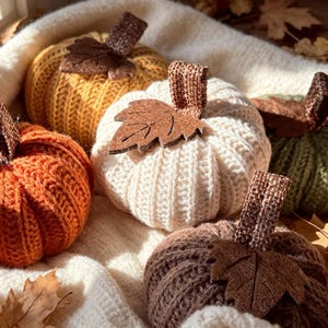 May include: A collection of five handcrafted fabric pumpkins in orange, yellow, cream, brown, and green. Each pumpkin features a ribbed knit texture, a burlap-style stem, and a single brown felt leaf attached to the top of the stem.