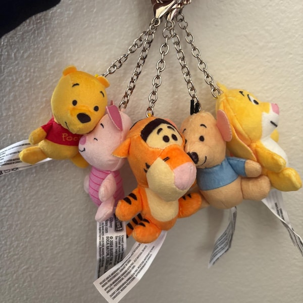Pooh and friends microteenies keychains