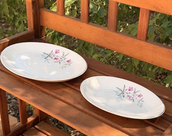 Vintage Harmony House Floral Serving Dishes Set of 2 Pink Blue Flowers Japan