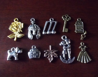 Who's Your Favorite Doctor Companions Charms Rose Song Bride Key Centurion Honeymoon Leaf