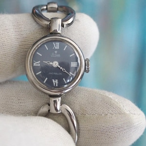 Könnte beinhalten: Eine silberfarbene Armbanduhr mit dunkelblauem Zifferblatt. Die Uhr hat ein rundes Zifferblatt mit römischen Ziffern als Stundenmarkierungen und ein Armband im Kettenstil. Die Uhr wird von einer behandschuhten Hand vor einem verschwommenen Hintergrund gehalten.