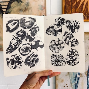 Nature Imprint Kit | Shell Stamping | Nature Journal | Beach lover Gift | Travel Journal | Field Notes | Printmaking Kit | Reverse Print Kit
