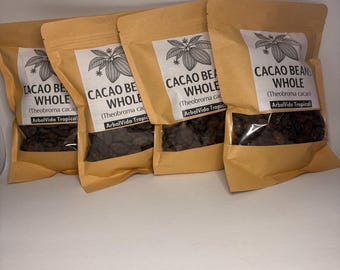 Artisan Roasted Cacao Beans Peeled Organic Cocoa Treat Ready to eat(Theobroma cacao L)