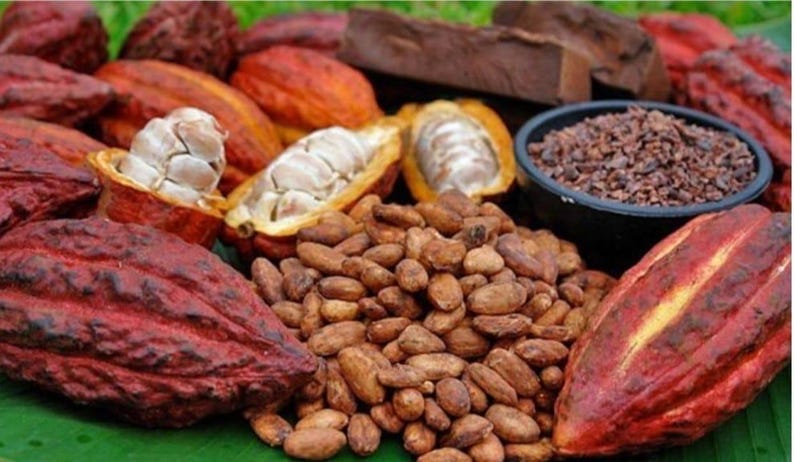 Puede incluir: Una imagen vibrante que muestra varias etapas del cacao. Presenta vainas de cacao enteras en tonos rojos y naranjas, algunas cortadas para revelar los granos blancos. Tambi&eacute;n se ven granos de cacao, nibs en un cuenco negro y chocolate negro.