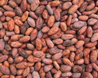 Raw Cacao Beans Fermented & Sun Dried Organic Cocoa Beans Premium Tropical Harvest