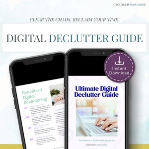 Organization System Phone Cleanup Guide Email Management Planner Schedule Maintenance Tracker Daily Weekly Monthly Quarterly Annual Digital Declutter Checklist Printable Template Computer Files Internet Social Media Blog Website