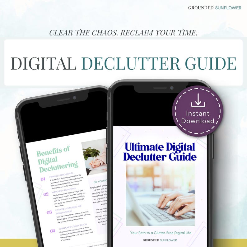 Organization System Phone Cleanup Guide Email Management Planner Schedule Maintenance Tracker Daily Weekly Monthly Quarterly Annual Digital Declutter Checklist Printable Template Computer Files Internet Social Media Blog Website