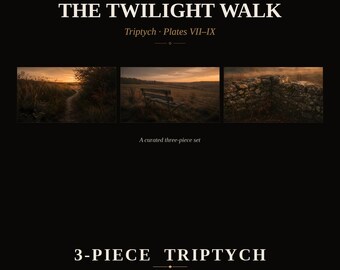 Zestaw artystyczny Vintage Frame TV — Twilight Walk, talerze VII-IX — tryptyk olejny z pejzażem Moody Countryside — 4K + 8K