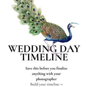 May include: A graphic featuring a colorful peacock with iridescent blue, green, and gold feathers. Below the bird, the text reads: WEDDING DAY TIMELINE. Further text states: Save this before you finalize anything with your photographer. Build your timeline →