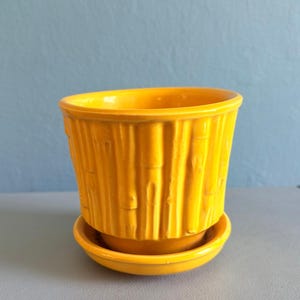 Puede incluir: Una maceta de cerámica de color amarillo brillante con un diseño exterior texturizado similar al bambú, que presenta crestas y nudos verticales, acompañada de un plato circular a juego situado bajo el recipiente.
