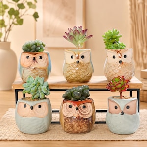 Peut inclure: Un ensemble de six pots de fleurs en céramique en forme de hibou disposés sur un support à deux niveaux en bois et métal noir. Chaque pot présente un motif de visage de hibou unique avec des couleurs variées, incluant bleu, brun et crème.