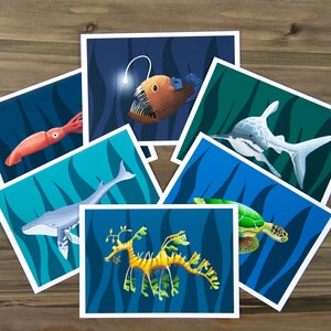 Cartes Nature, Poissons, Cartes de voeux, Cartes, Cartes 5x7, Cartes enfants, Cartes vierges