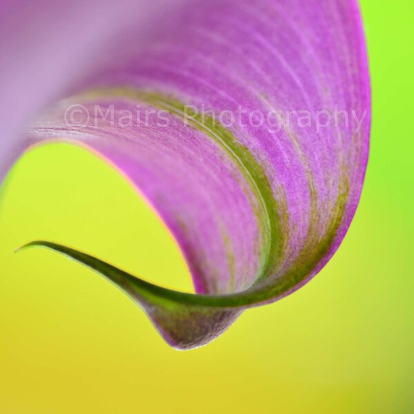 Fine Art Photography Etsy