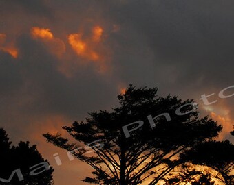 Fiery Sky Pacific Northwest Sunrise Nature Morning Dawn Clouds Gray Grey Orange Black Trees Stormy Gold signed & matted Original Photograph