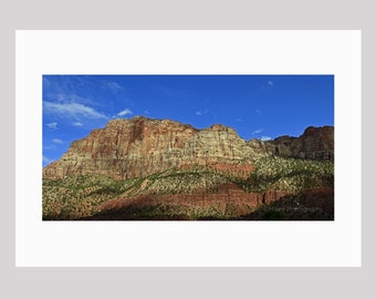 Travel Photography, Zion National Park, Utah Southwest Rocks Scenic Landscape Canyon, Fine Art Photography signed 8x16 Original Photograph