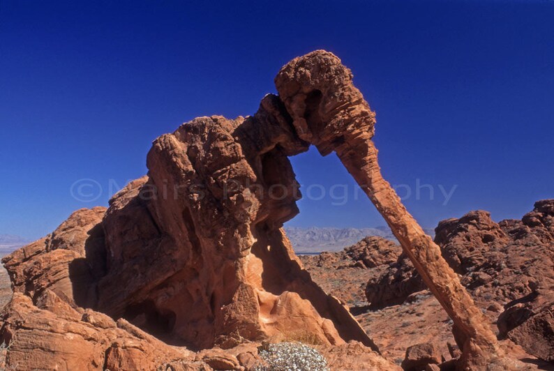 Nevada Valley of Fire Desert Landscape Red Sandstone Nature Travel Photography Fine Art Photography matted /& signed Original Photograph