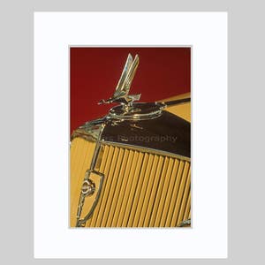 May include: A vintage car front grille featuring a vertical yellow slatted design with a polished chrome hood ornament shaped like a bird in flight. The vehicle has a dark metallic hood section and a small circular emblem on the left side.