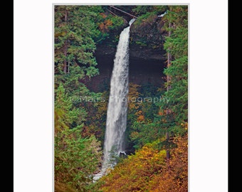 Waterfall Trees Forest Oregon, Pacific Northwest, Silver Falls, Home Decor, Fine Art Photography matted & signed 5x7 original photograph