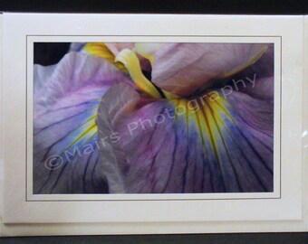 Sensuous Soft Lavender Yellow Japanese Iris, MOTHERS DAY Card, Thank you card, Get Well Card, All Occasion, Blank Greeting Card, Photo Card