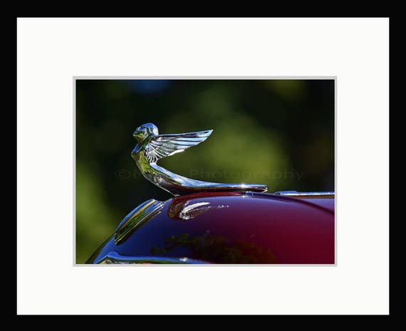 1,456 Hood Ornament Stock Photos, High-Res Pictures, and Images