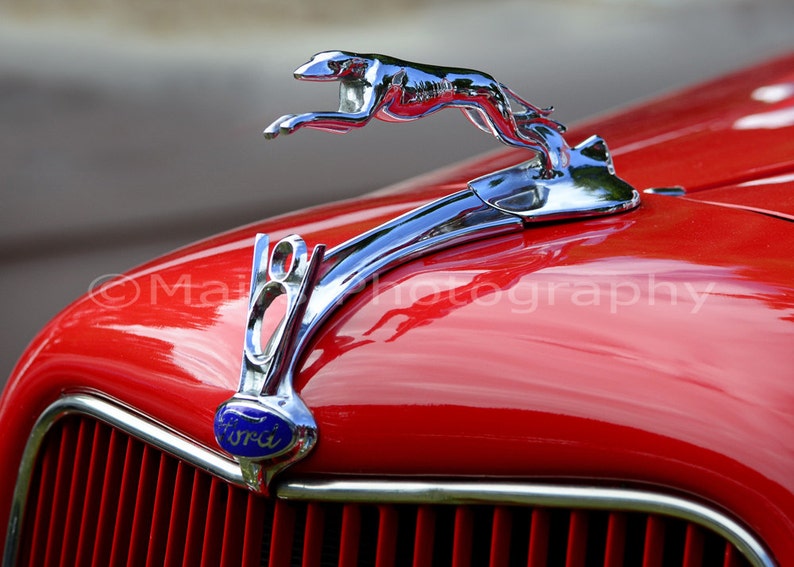 Fotografie Auto Kunst Mann Höhle Dekor Windhund Kapuze | Etsy