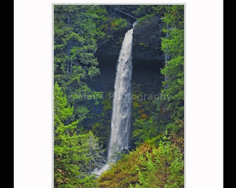 Waterfall Trees Forest Oregon, Pacific Northwest, Silver Falls, Home Decor, Fine Art Photography matted & signed 5x7 original photograph