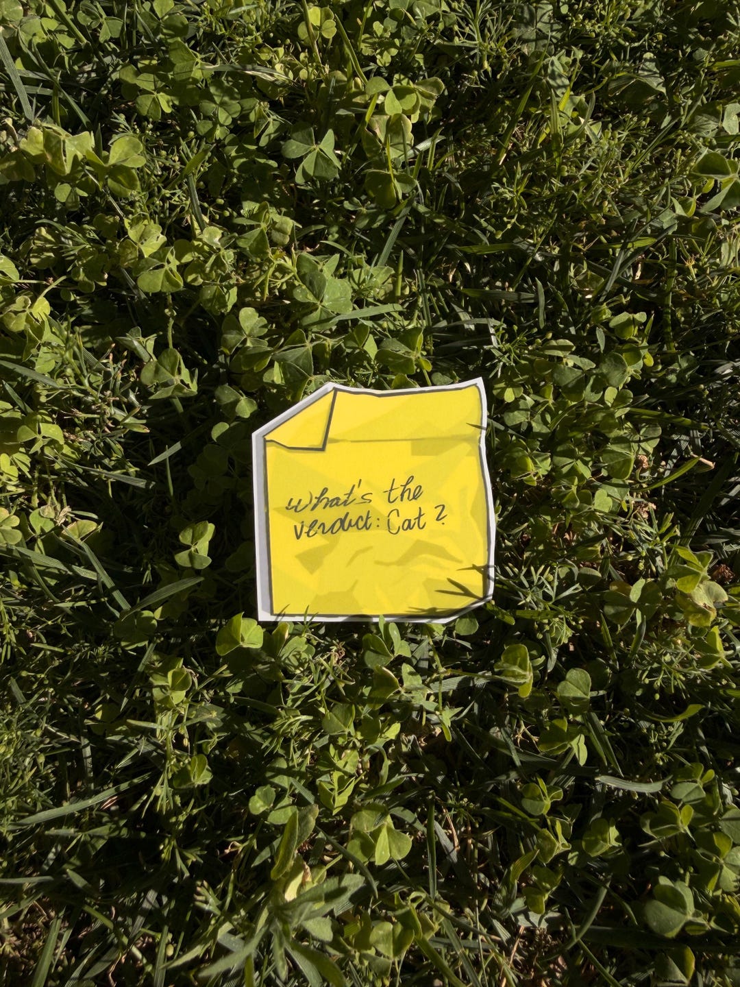 Obsession Sticky Note Obsession (2026) What's the Verdict: Cat? Sticker | Kiss-cut Sticky ...