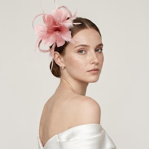 May include: A pale pink fascinator headpiece featuring layered feathers and thin, glittery loops. The accessory is attached to the side of the hair, showcasing a delicate floral-like arrangement with soft, wispy textures and a subtle shimmer.