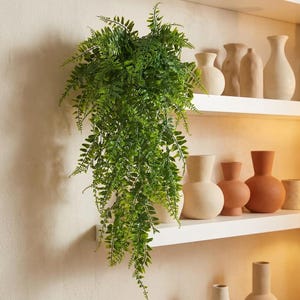 Könnte beinhalten: Eine üppige, hängende künstliche Farnpflanze mit leuchtend grünen Wedeln, die nach unten kaskadieren. Die Pflanze steht auf einem weißen Regal neben mehreren glatten, neutralfarbenen Keramikvasen in verschiedenen Formen und Größen.