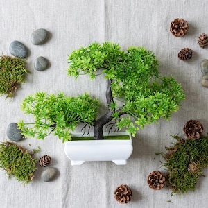 Peut inclure: Un petit bonsaï artificiel au feuillage vert vif et au tronc brun foncé, planté dans un pot rectangulaire en céramique blanche. L'arbre est entouré de galets gris, de touffes de mousse verte et de pommes de pin brunes éparpillées.