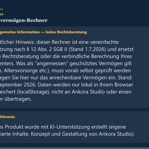 Schonvermögen-Check 2026 PDF Deutsch | Bürgergeld Grundsicherung Altersstaffel Rechner image 9